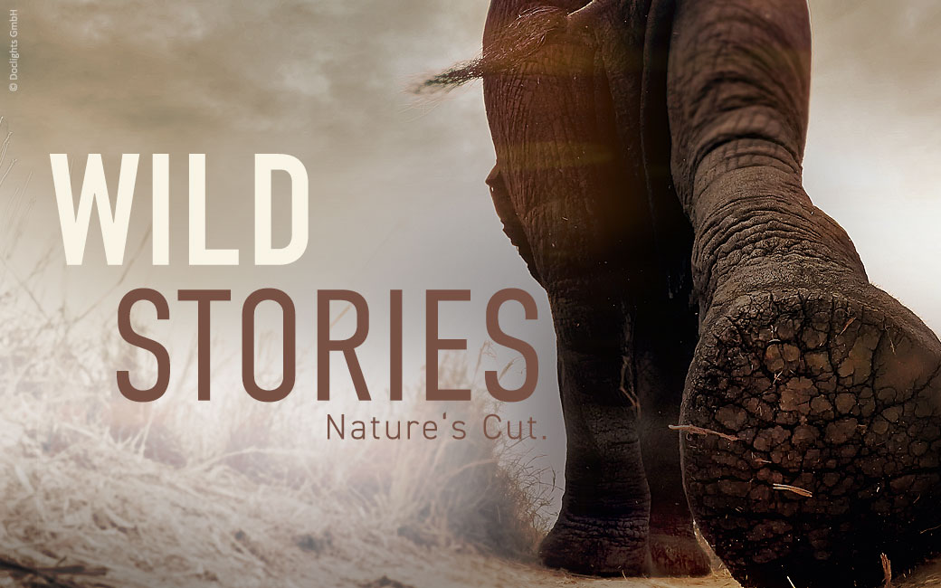 Wild Storie | Nature’s Cut